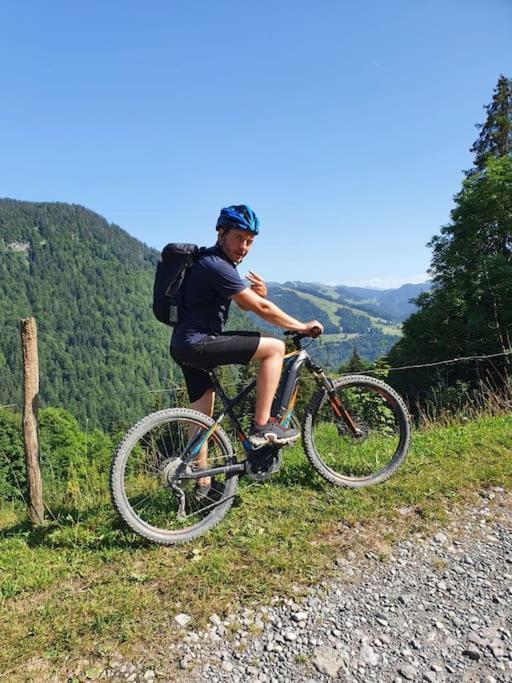 Appartement La Duchere Le Plan-La Giettaz Massif Des Aravis Eksteriør billede