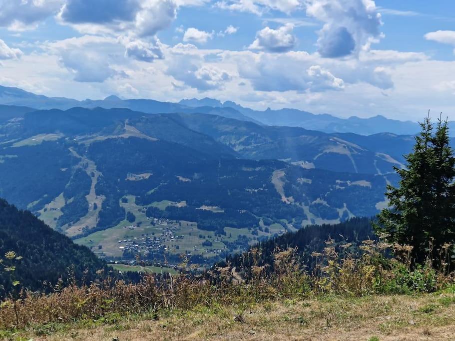 Appartement La Duchere Le Plan-La Giettaz Massif Des Aravis Eksteriør billede