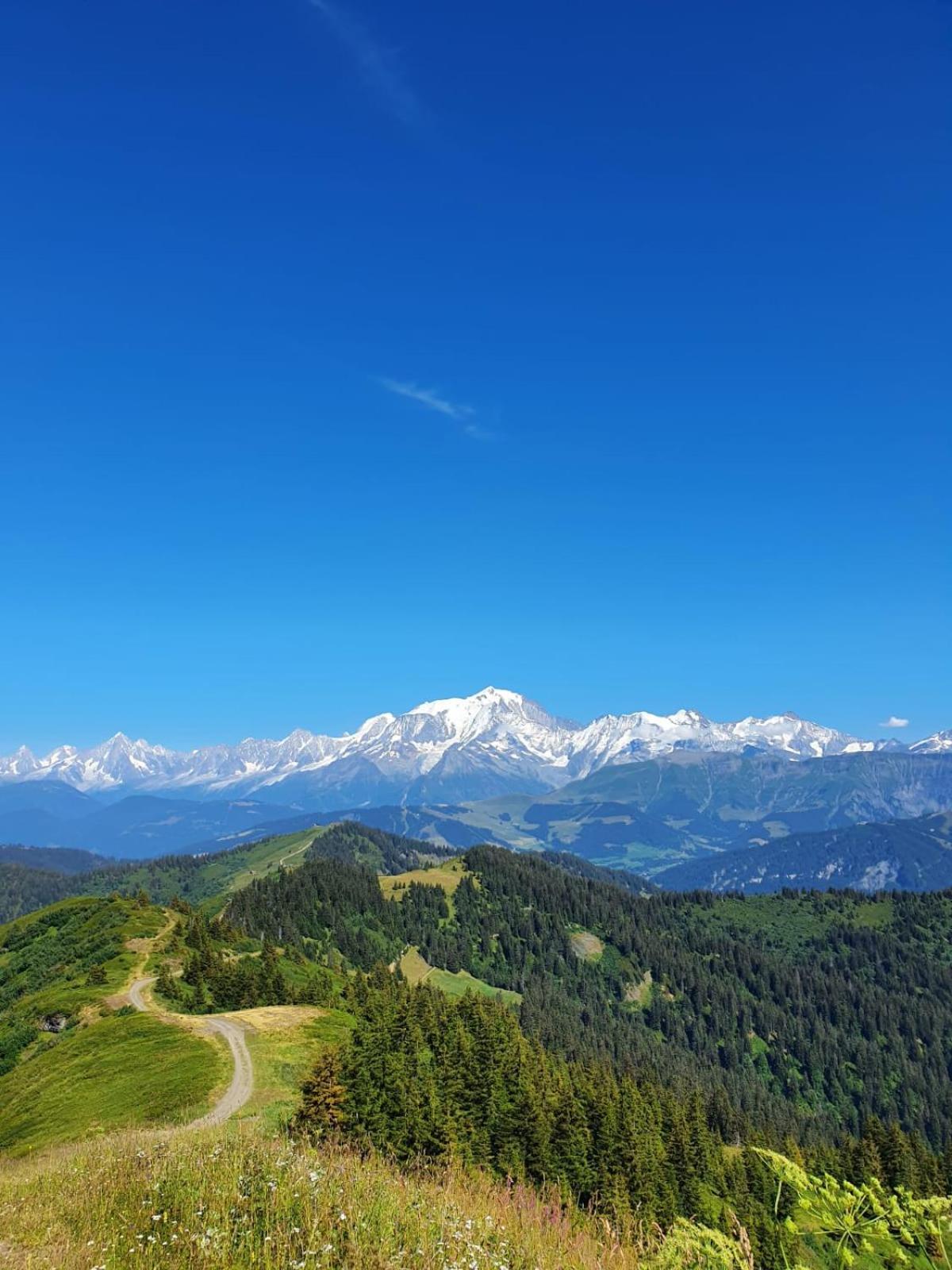 Appartement La Duchere Le Plan-La Giettaz Massif Des Aravis Eksteriør billede
