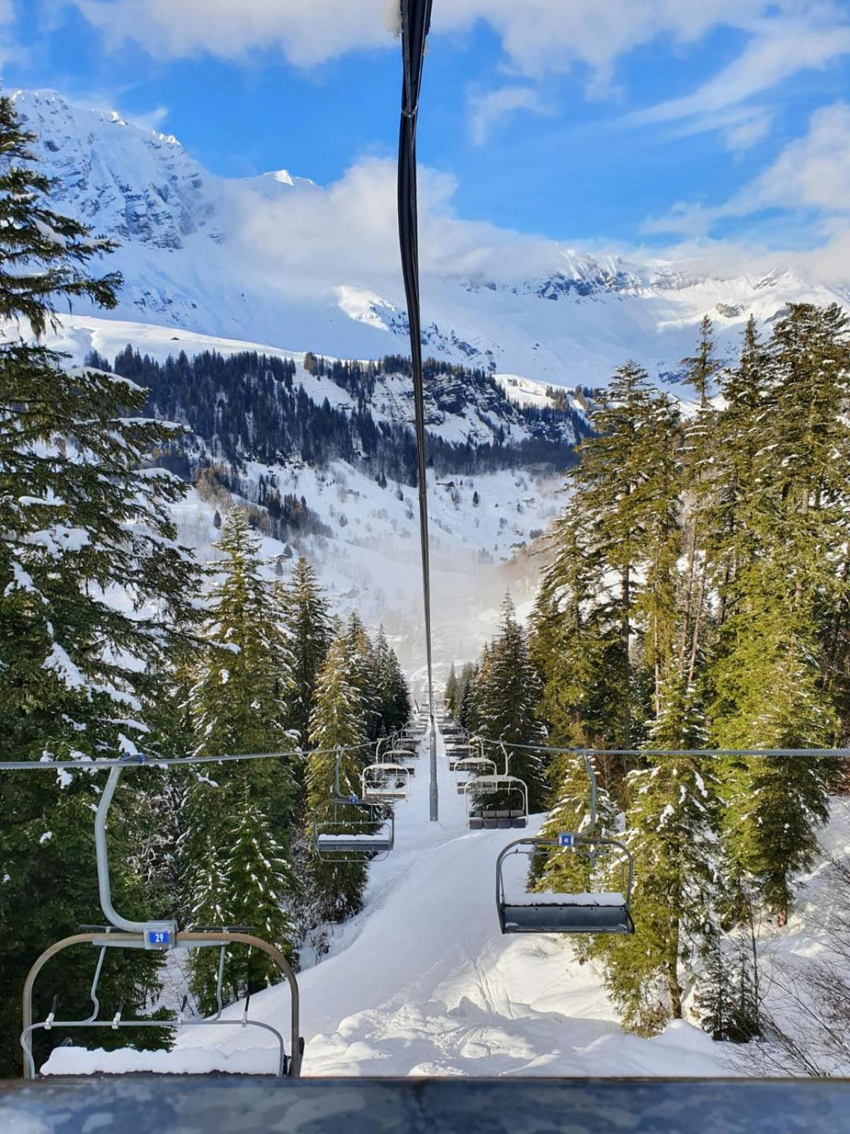 Appartement La Duchere Le Plan-La Giettaz Massif Des Aravis Eksteriør billede