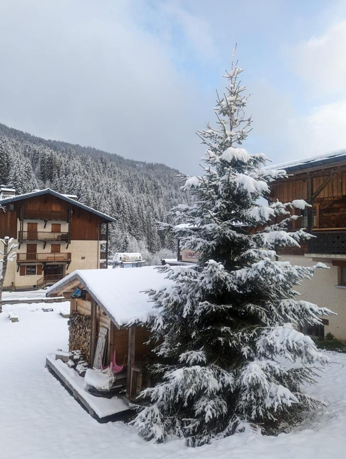 Appartement La Duchere Le Plan-La Giettaz Massif Des Aravis Eksteriør billede